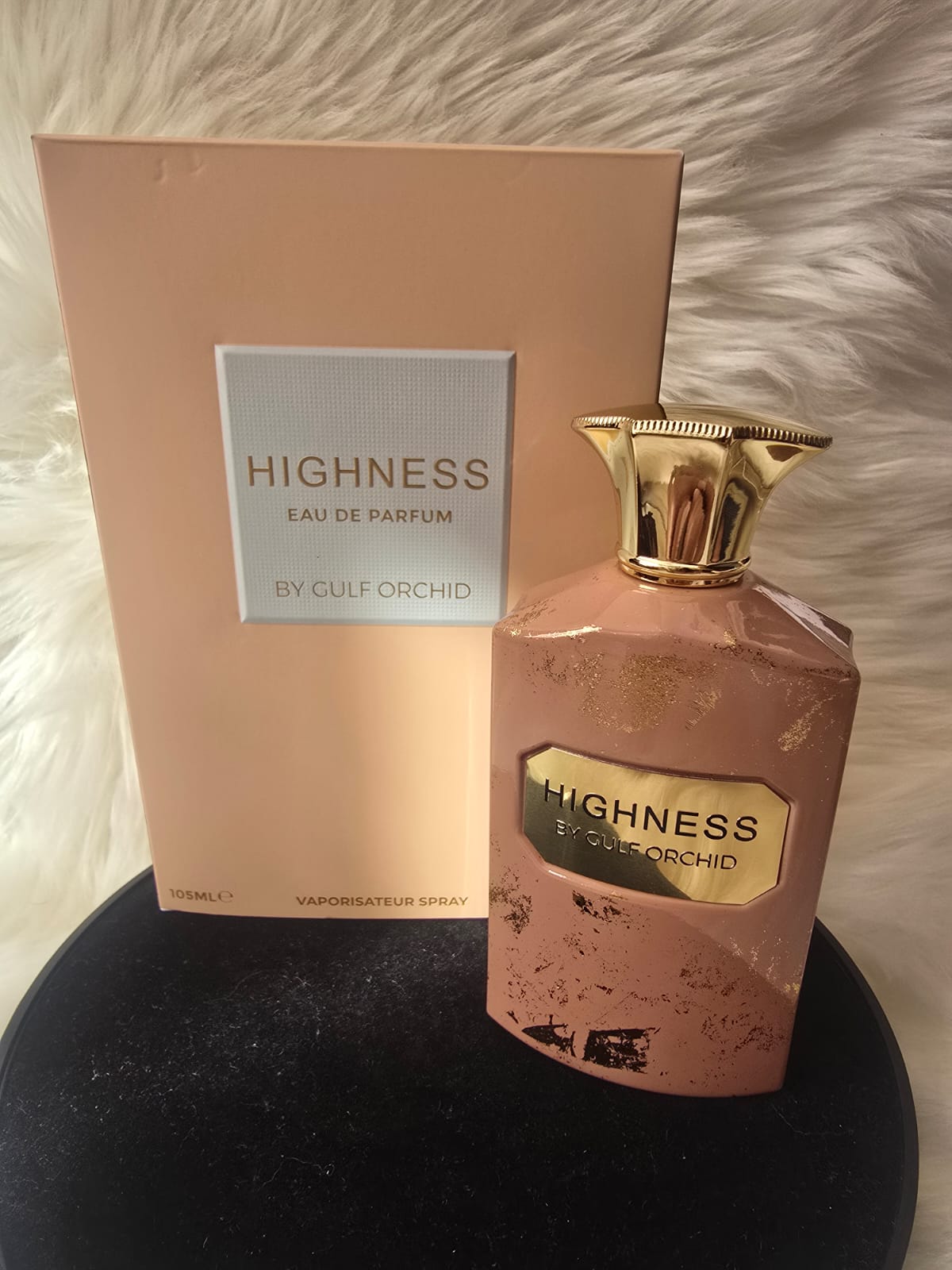 Highness Gulf Orchid