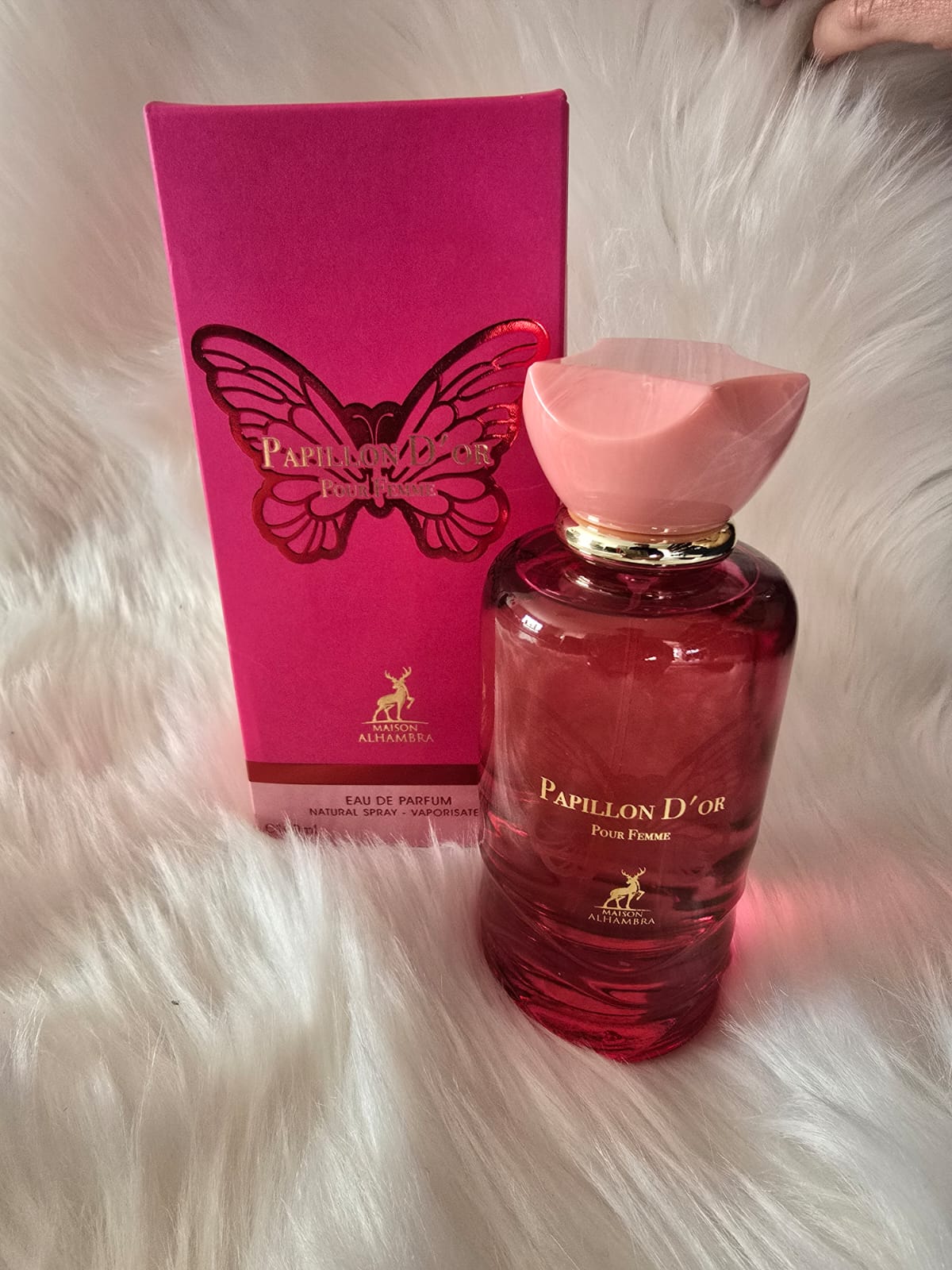Papillon D'Or